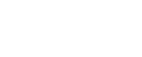 Flyguy Airways